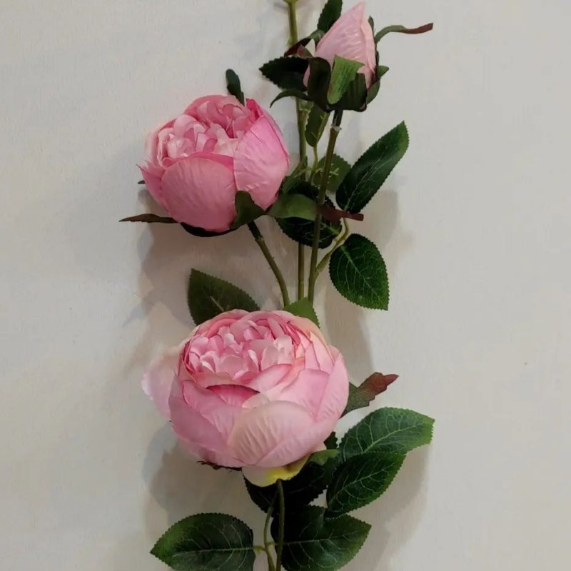 شاخه پیونی توپی 3 گل